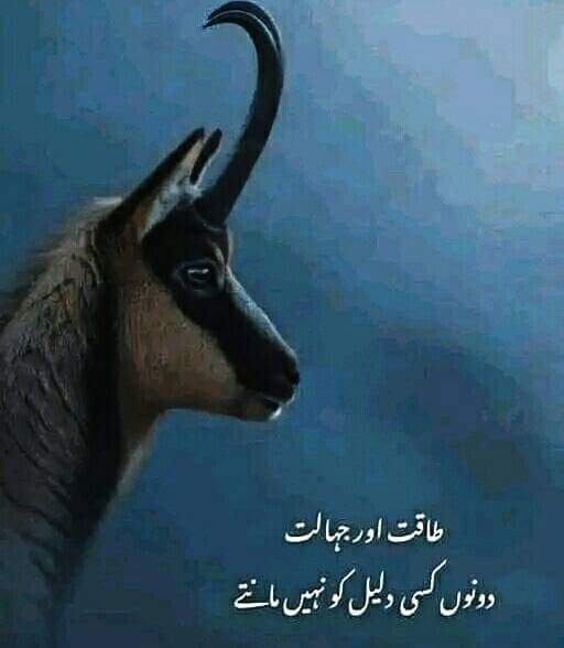 Retweet+Like+Fallow
#R_P_G
@5Syra
<a href="/6Syma/">SANTEA LEAKED VIDEO</a>
<a href="/7syma/">7syma</a>
<a href="/5Sbya/">saba Naz</a>
@5q_zk
<a href="/Niaz1k/">Rajab Baloch</a>
<a href="/QMAAsif/">Qazi Asif</a>
<a href="/1A_76/">Qureshi</a>
<a href="/azra_pti/">Azra Aziz</a>
<a href="/_1gul/">ᎪᎪᏒᎪ ᎩᎾᏌᏚᎪᎰᏃᎪᏆ</a>
@Emanifb
<a href="/1Ayshh/">Ayesha Ahmad 🅰️ 6-0</a>
<a href="/bnte_/">بـٌـٌٌـٌٌٌـٌٌـٌنـِِـِـتـٌـٌٌـ۔</a>
@1bhti
<a href="/5knza/">kinza Mubeen</a>
<a href="/1Hqim/">Crypto 100x Gems</a>
<a href="/Pk50k/">Saher</a>
<a href="/1fzall/">فـضـ𝓐𝓴𝓫𝓪𝓻ل</a>
@9SI_H
<a href="/Eles26/">Eles Durán</a>
<a href="/Ik7700/">I Khan</a>
<a href="/Subhhn/">Subhan Khan</a>
<a href="/1fzall/">فـضـ𝓐𝓴𝓫𝓪𝓻ل</a>
<a href="/_143AH/">Afsheen</a>
<a href="/1Aara_/">○° آراءخان°○</a>
<a href="/kareempk/">abdul kareem</a>
<a href="/SAGBain/">SHujjaat ALy GBain✌️</a>
<a href="/AbuSaiFii/">Abu Sufyan</a>
<a href="/KarimPk/">A Karim</a>
<a href="/bil_al95/">ابو ہاشر𓃵</a>
@AR6t6
<a href="/Yqbh_/">ᗰ YᗩᑫOOᗷ (Sellar)</a>