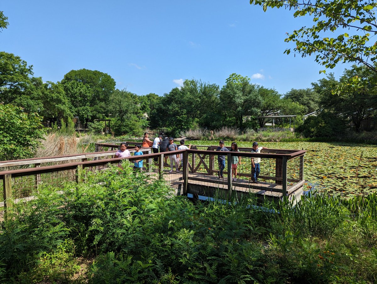 SuperLearners1s's tweet photo. Last field trip for second grade at the Austin Nature and science Center. https://t.co/wMVF37ISo5