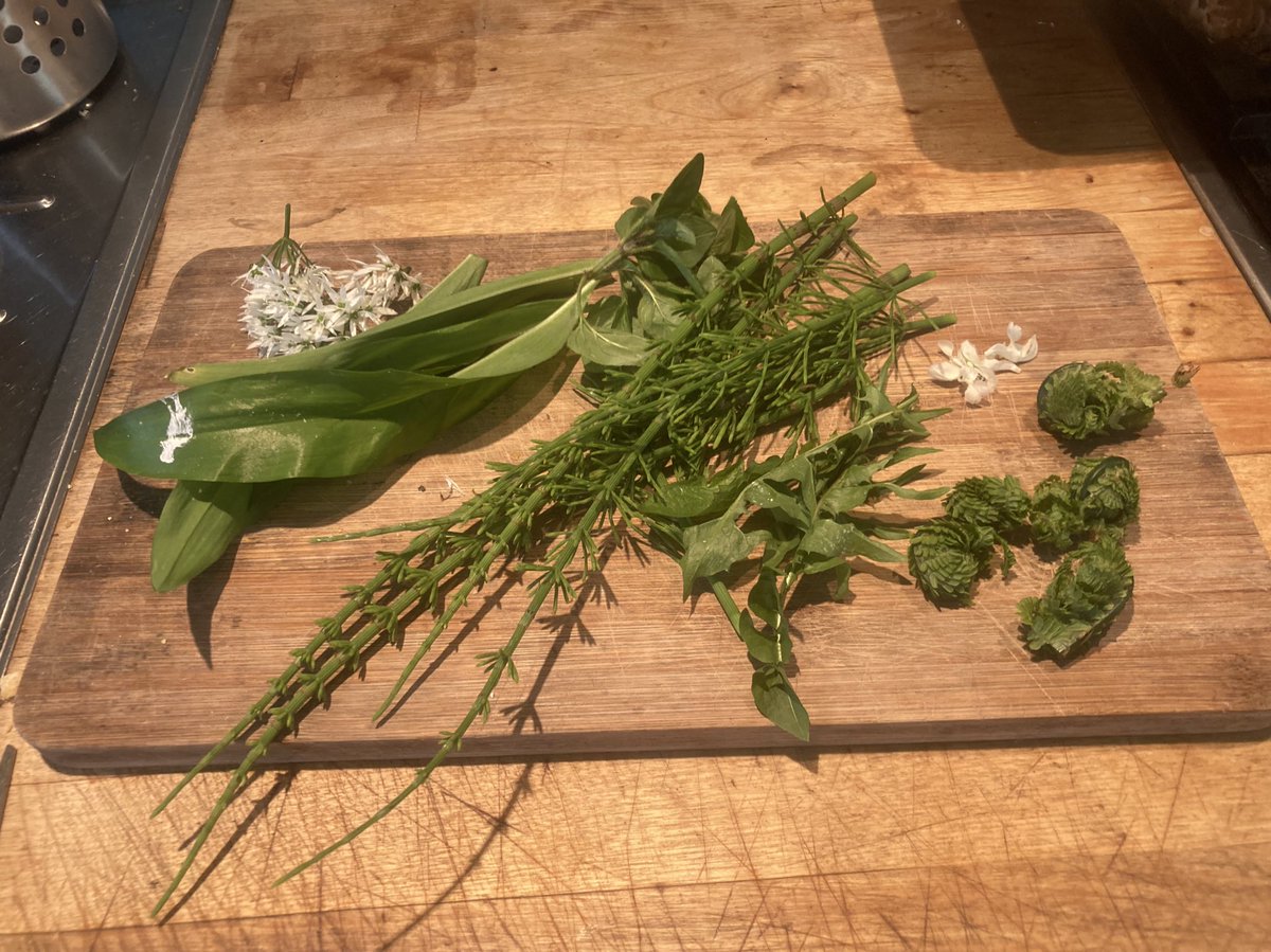 Rini Biemans tweet media