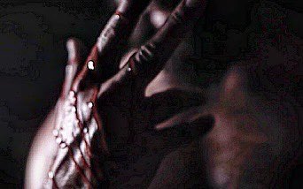 5/3/23 19:00hrs 

#murdehawkmonster