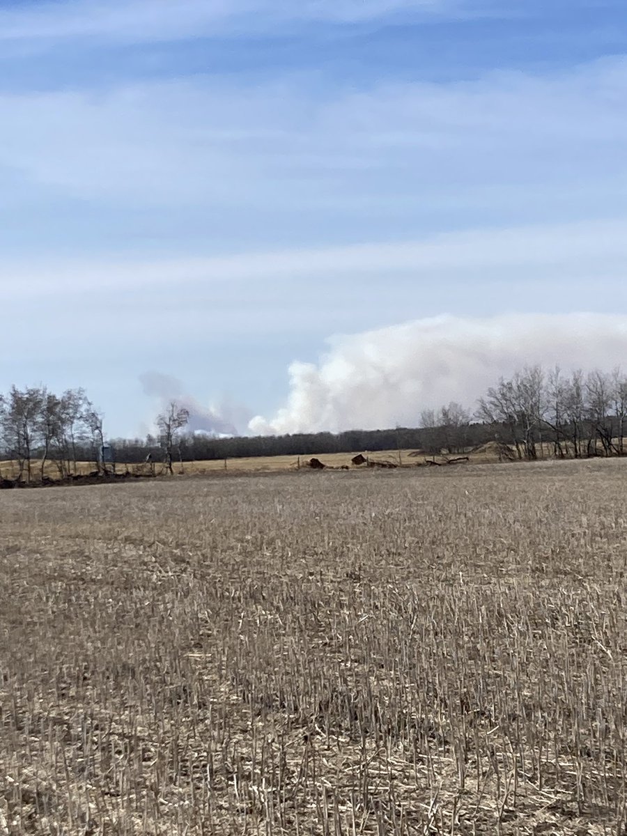 Looks like it’s officially spring! The “boys” to the south are “mowing grass”:)