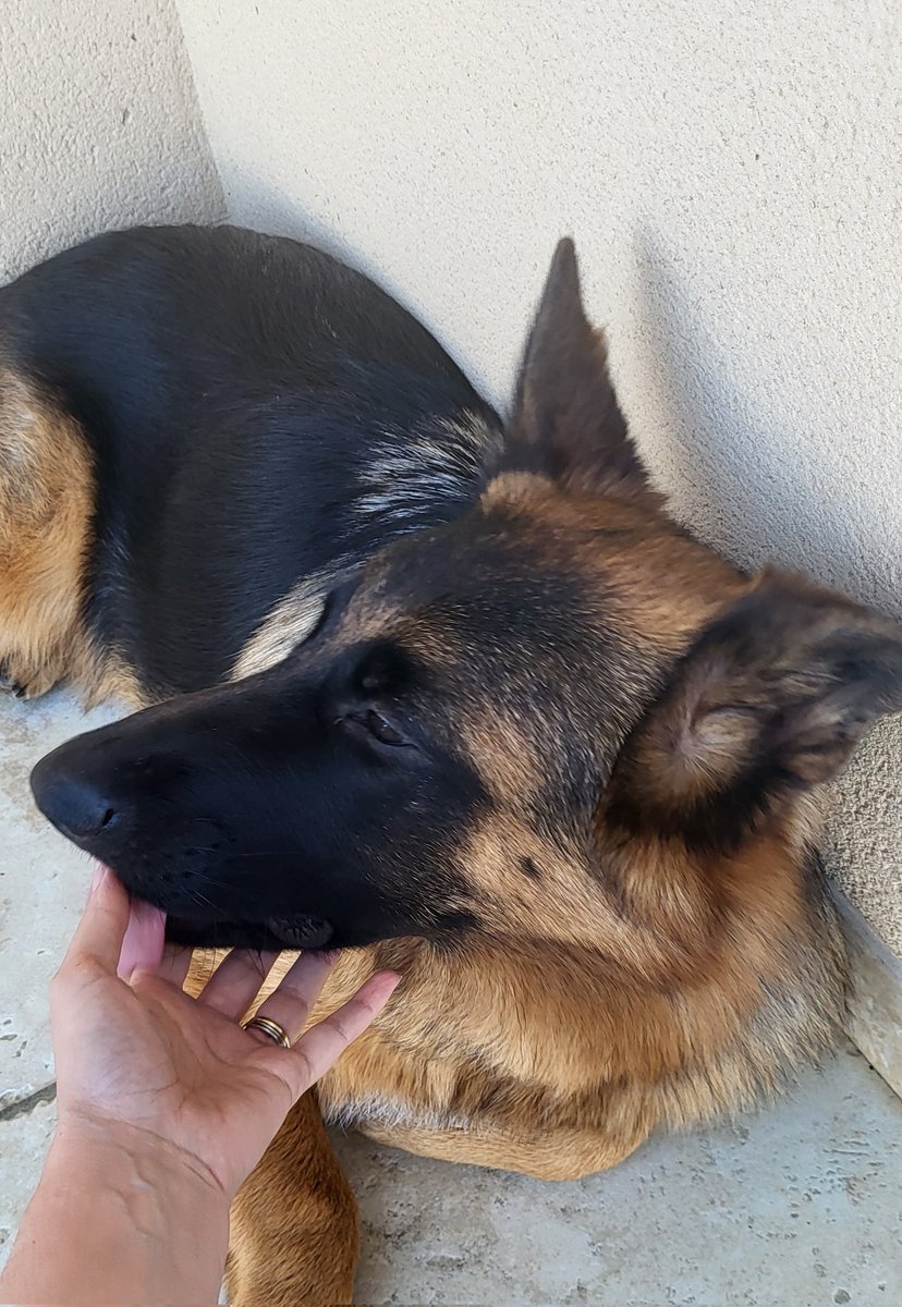 Miss Moneypenny on Twitter "Tout le monde va bien 🥰"