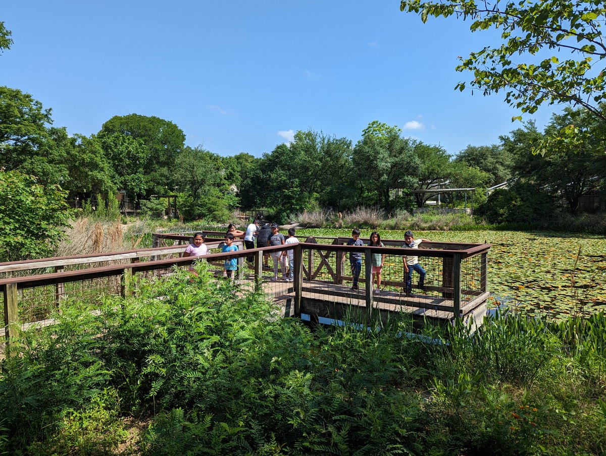 SuperLearners1s's tweet photo. Last field trip for second grade at the Austin Nature and science Center. https://t.co/pScMpvkQbV