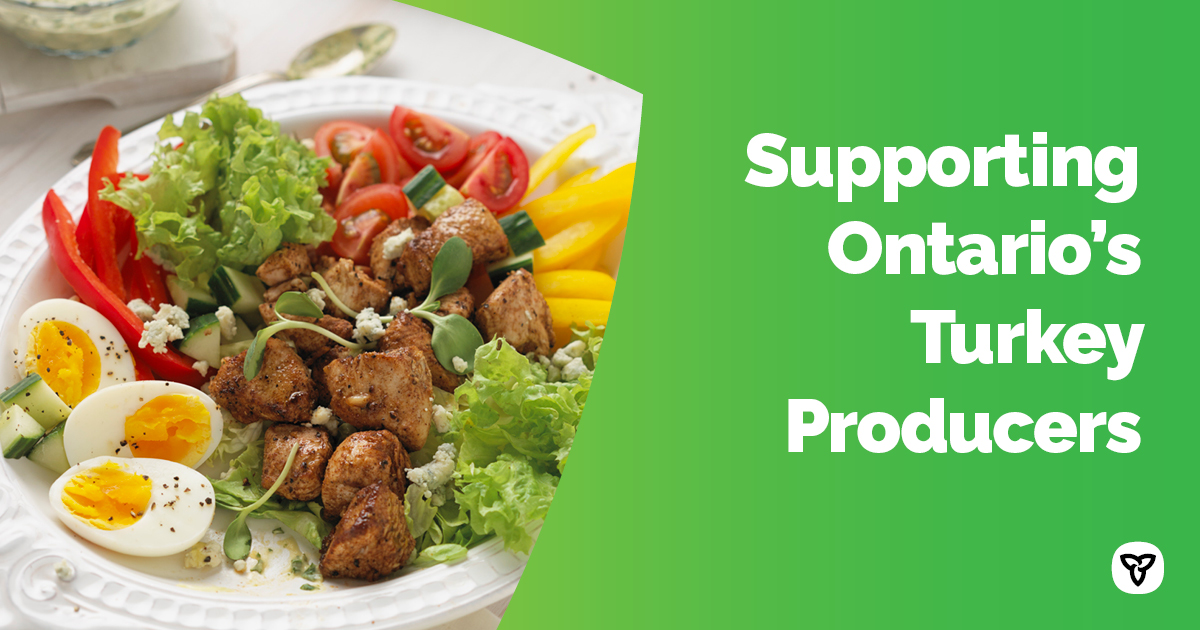 Ontario is investing up to $100,000 in <a href="/OntarioTurkey/">Ontario Turkey</a> to raise awareness for the variety of locally raised and made turkey products available in grocery stores. #TasteTurkey tonight and support Ontario farmers &amp; food processors when you buy local. Photo Credit: @Foodland Ontario