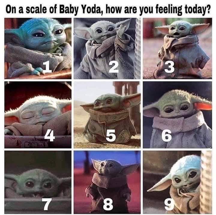 Konalee__'s tweet photo. Love a themed team temp check 
#starwarsday #maythe4th https://t.co/3JezbntbVm