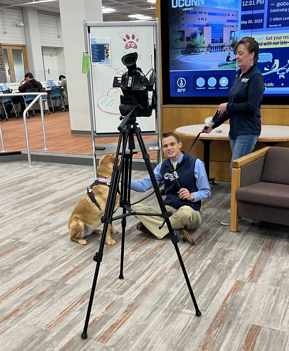 uconnlibrary's tweet photo. 👀 .@WFSBnews and @LukeHajdaszTV in the house! Paws to Relax pet therapy here until 5! Come get a little puppy love to get you through finals. @uconn

#pawstorelax #uconn #finals #stressrelief #almostthere https://t.co/vx3UIBtZqm