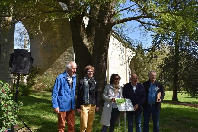 Découvrez les nouveaux arbres labellisés 'remarquables' en Eure-et-Loir lechorepublicain.fr/chartres-28000…