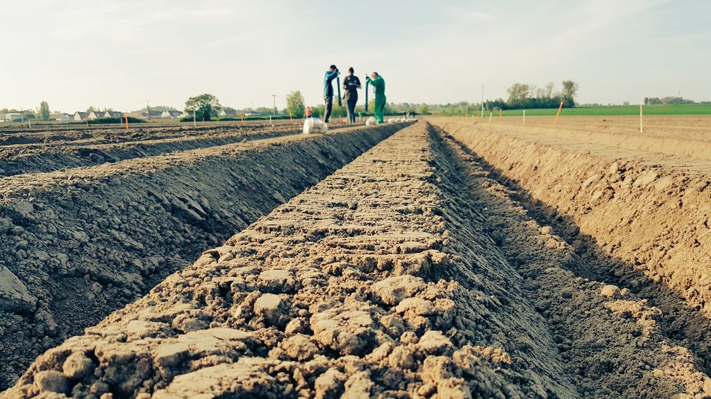 Plantation d'un essai pomme de terre. Collaboration <a href="/GroupeFDesprez/">Florimond Desprez</a> <a href="/germicopa/">Germicopa</a> 
#ceuxquifontlesfrites