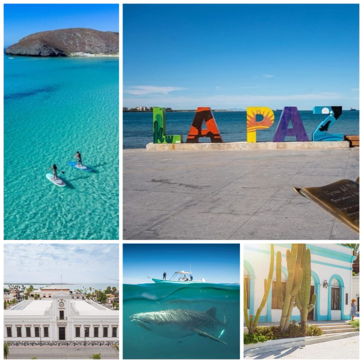 TorrucoTurismo's tweet photo. La hermosa ciudad de #LaPaz en #BajaCaliforniaSur cumple 488 años de su fundación. En este destino pueden disfrutar de uno de los fenómenos naturales más sorprendentes del mundo; el paso de la ballena gris por el #MarDeCortés. ¡Muchas felicidades! https://t.co/SUlw4sYGJb