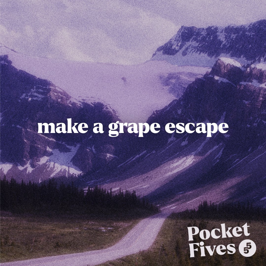 Make a 🍇grape 🍇 escape! 👀Stay tuned for some very exciting updates!