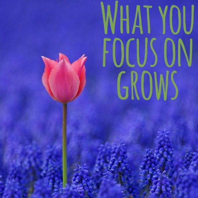 1successmaster's tweet photo. STAY TUNED! How To Stop Self-Sabotage Permanently &amp; Claim Your Success

#NationaleBookStore https://t.co/CBWLVPRy0G