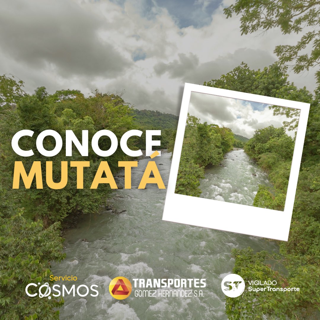 Transportes Gomez Hernandez S.A. on Twitter: 