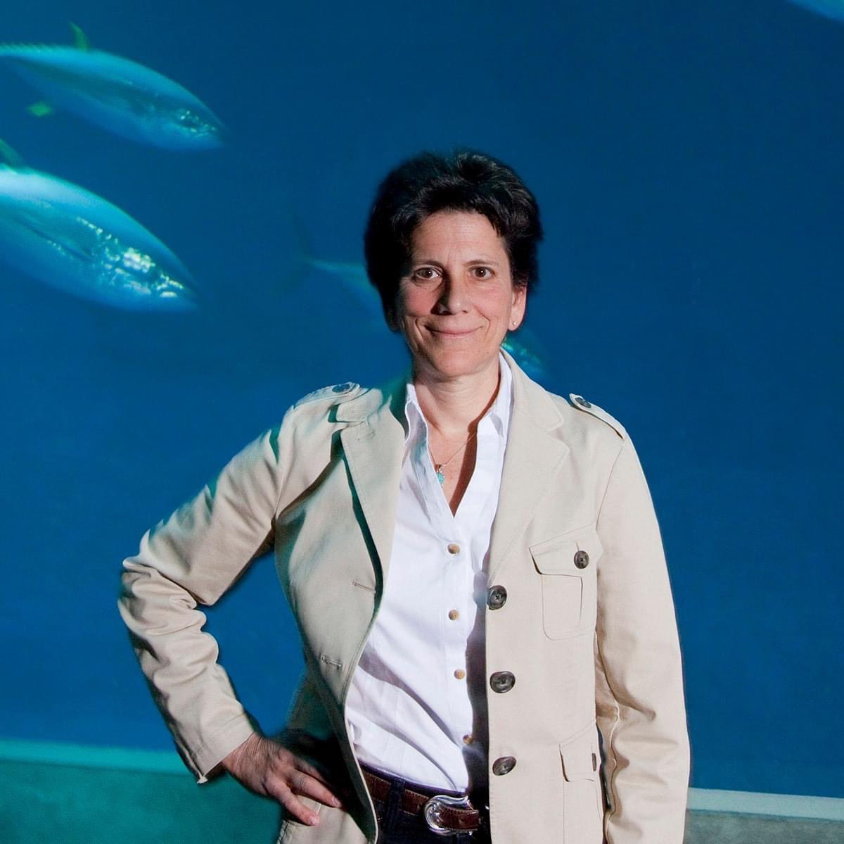 Hopkins Marine Station Stanford University (@hopkinsmarine) on Twitter photo Congratulations to our very own Dr. Barbara Block <a href="/Thunnus/">Barbara Block</a> who has been elected to <a href="/theNASciences/">National Academy of Sciences</a>! 🐟🐟🐟 Congratulations to our very own Dr. Barbara Block <a href="/Thunnus/">Barbara Block</a> who has been elected to <a href="/theNASciences/">National Academy of Sciences</a>! 🐟🐟🐟