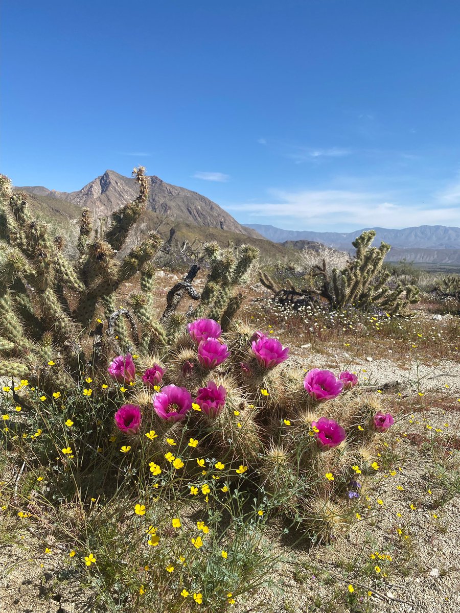 Carson Richards tweet media