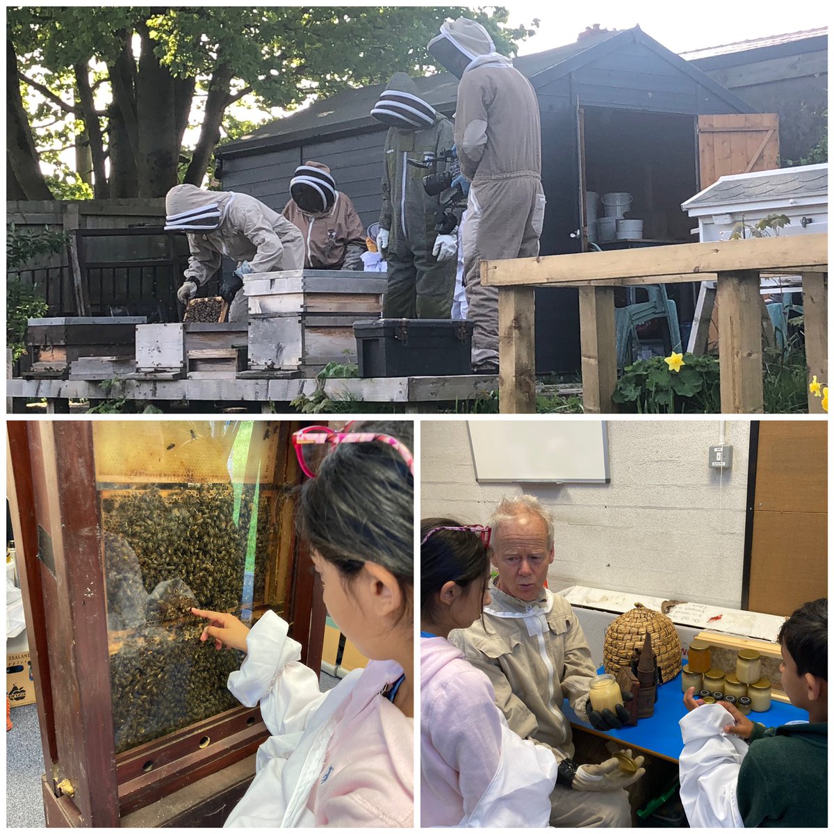 .<a href="/SAfoodforlife/">Food for Life</a> <a href="/FoodBwD/">BwD Food Alliance</a> buzzing about bees at Cherry tree library #PlantandShare