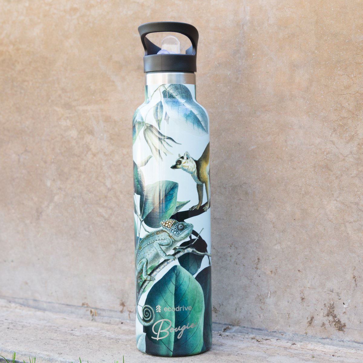 Lemur, lizard, oh my.
#hydrateinstyle #bougiebottle #ecodrive <a href="/EcodriveO/">Ecodrive</a>  #conservation #conservationcollection #stainlesssteel #drinkwater #waterbottle #stayhydrated #inspiredbynature #wildlife #lemur #lizard