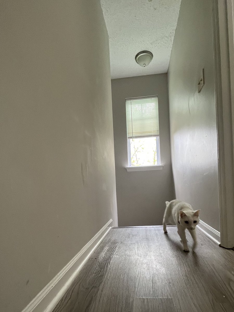 I’m like fajitas… I come in the room sizzlin and nobody can take their eyes off me