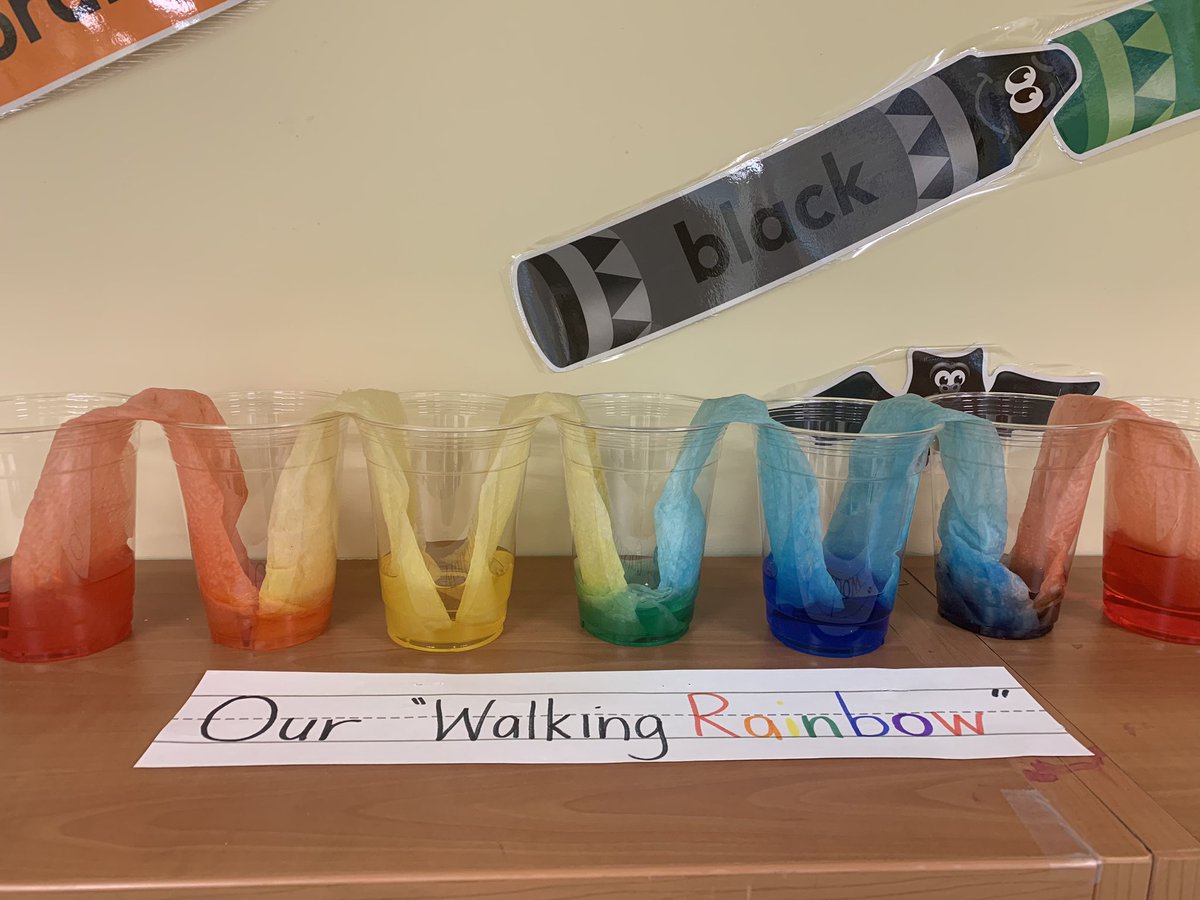 Walking Rainbow experiment in Pre-KB and Pre-KE 🌈
