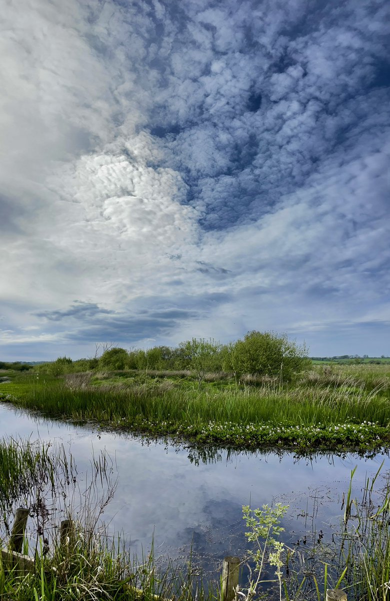 Cors Ddyga Anglesey 💖 <a href="/DerekTheWeather/">Derek Brockway - weatherman</a> <a href="/Ruth_ITV/">Ruth_TV</a> <a href="/itvweather/">ITV Weather</a> <a href="/bbcweather/">BBC Weather</a> <a href="/BBCWthrWatchers/">BBC Weather Watchers</a> <a href="/S4Ctywydd/">S4C Tywydd</a> <a href="/AngleseyScMedia/">Anglesey socialmedia</a> @AngleseySights