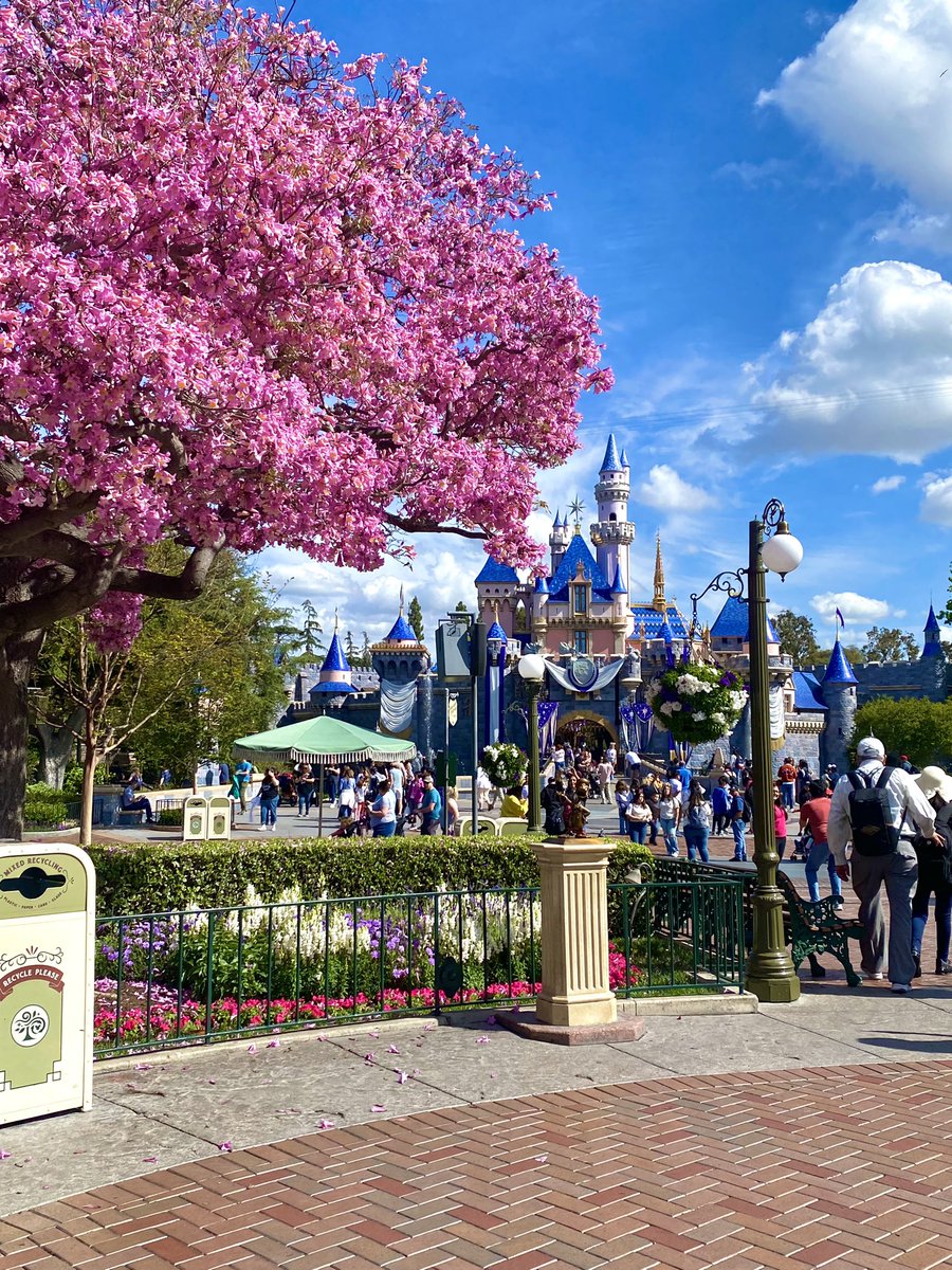 My happy place 🐭💕 #Disneyland