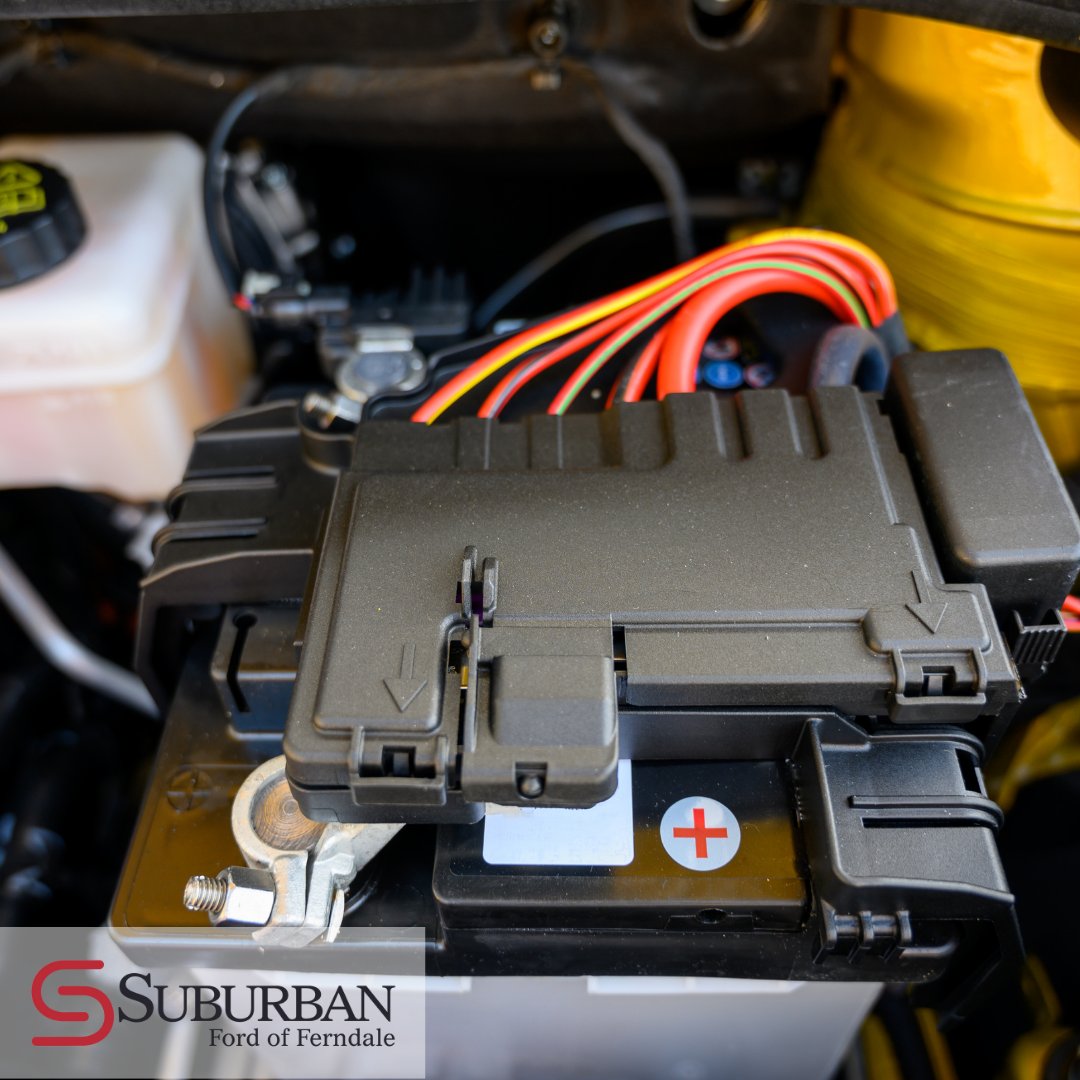 If your battery is failing, it can cause many other systems to appear as if they’re failing. Stop by and we’ll thoroughly test your battery’s function. 
📍 21600 Woodward Ave. Ferndale, MI 48220

#failingbattery #carbattery #carservice #carcare