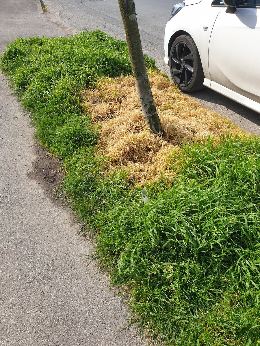 Really <a href="/East_Riding/">East Riding Council</a> ? Can you please explain the purpose?