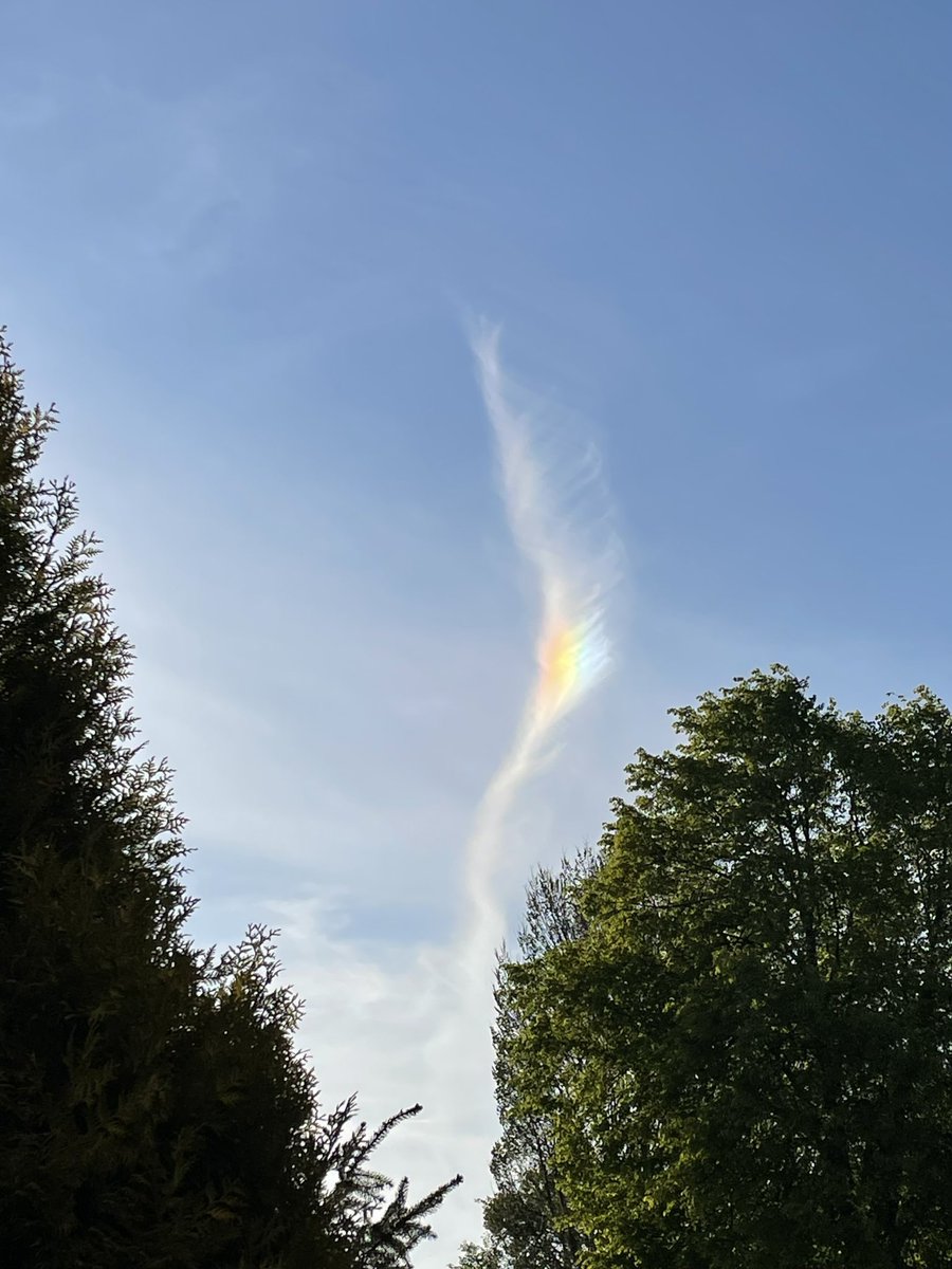 Werd net getrakteerd op dit prachtige natuurverschijnsel. Een iriserende wolk? <a href="/helgavanleur/">Helga van Leur ☀</a> ?? 
Het lijkt net een halve vleugel🪽 #wolkenspel