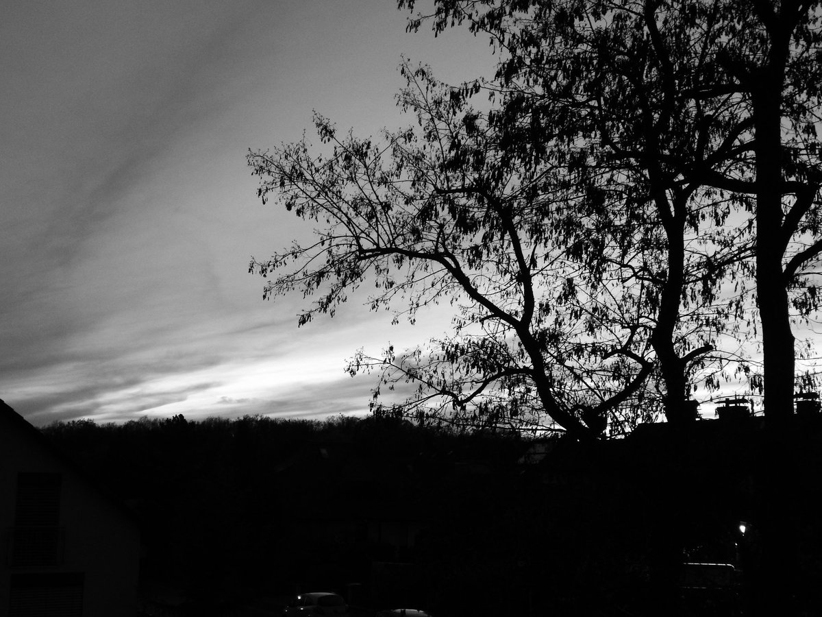 wossii91's tweet photo. #blackandwhite #Nikon #l830 #wolkig #sonnenuntergang #sunset #Bayern #Wuerzburg #Deutschland https://t.co/dcV8rrtthj