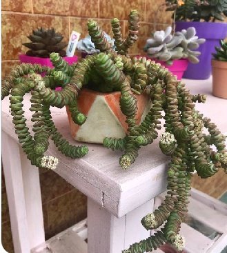 Lumpen DG 😺😸😾 tweet media