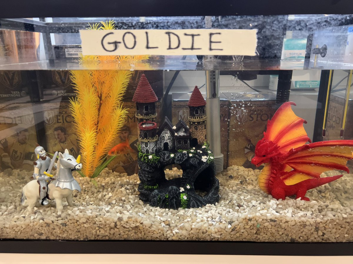 glub Round 2

let’s go