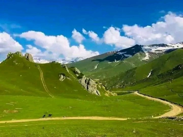 SkarduExpd's tweet image. Breathtaking beauty of Upper Dir! Nestled in the majestic mountain of KPK, this hidden gem of Pakistan boasts crystal clear streams, lush green forests, and a serene atmosphere that&apos;s truly enchanting. A must-visit for nature lovers and adventure seekers! #UpperDir #Pakistan