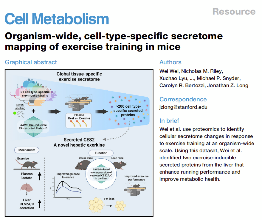 Satchin Panda (@satchinpanda) on Twitter photo Exercise triggers the release of many hormone-like small proteins from different organs.
Some of these proteins have therapeutic effects - thus contributing to our understanding of how exercise improves health. <a href="/WuTsaiAlliance/">Wu Tsai Human Performance Alliance</a>
cell.com/cell-metabolis… Exercise triggers the release of many hormone-like small proteins from different organs.
Some of these proteins have therapeutic effects - thus contributing to our understanding of how exercise improves health. <a href="/WuTsaiAlliance/">Wu Tsai Human Performance Alliance</a>
cell.com/cell-metabolis…