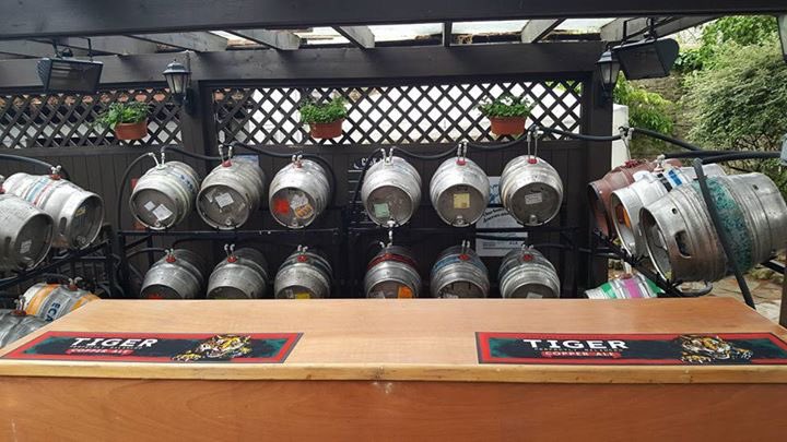 It’s our 12th ANNUAL BEER FESTIVAL. 19th-21st May. Free entry, 40+ Beers &amp; Ciders, Bbq &amp; Pig Roast, Live Music Saturday