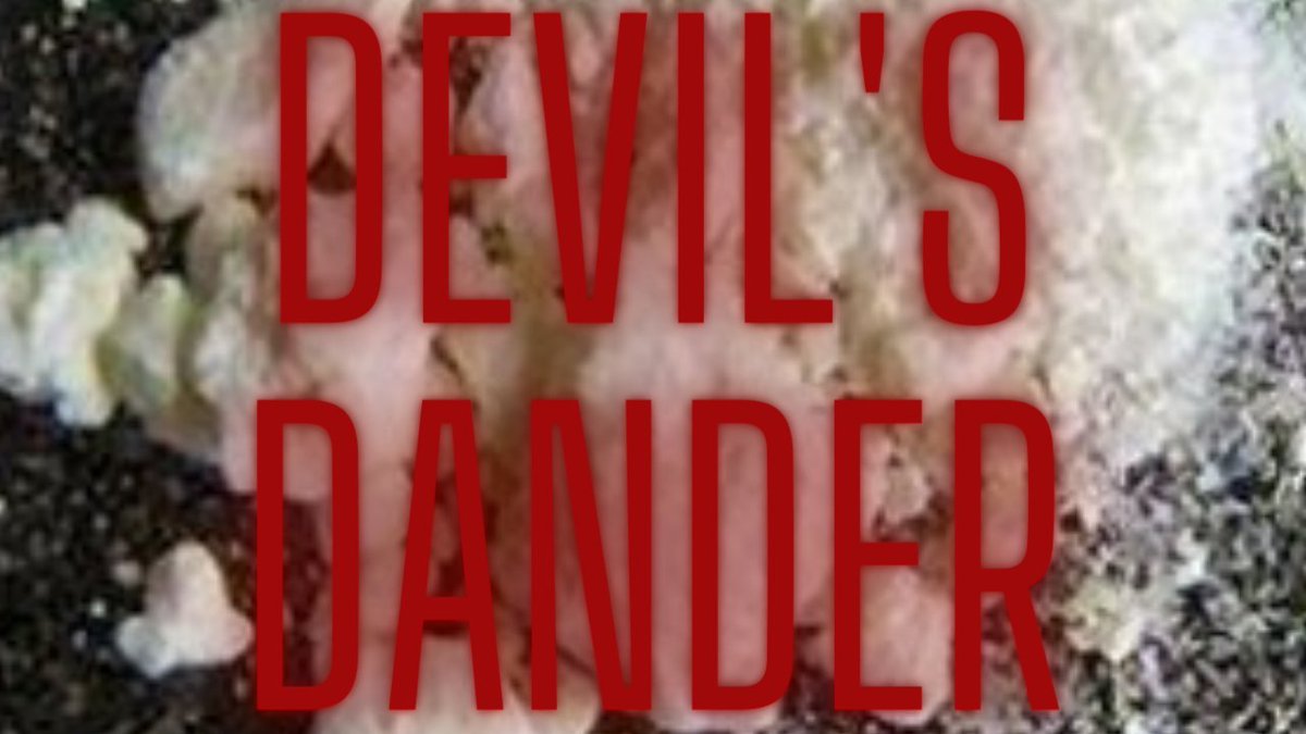 DevilsDander's tweet image. Good luck classifying us into your silly music '#genres'.