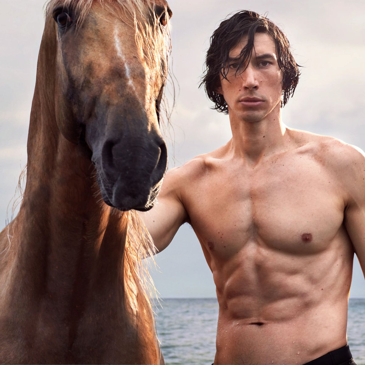 GabbodelaParra's tweet photo. If they cast #AdamDriver as #Snape for the #HPseries, the whole situation with Lily Evans is going to be a lot more interesting...
#justsaying #shenanigans #HarryPotter #potterhead https://t.co/yPPswmQ1P9