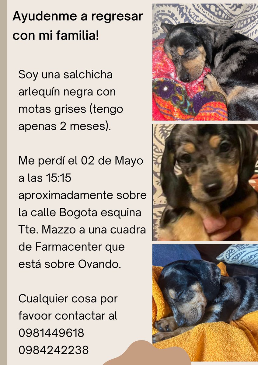 gabimcaballero's tweet photo. Por favor RT !!! 😭😭😭
Se ofrece recompensa 🙏🏻🙏🏻 https://t.co/fcN8VAqHVH