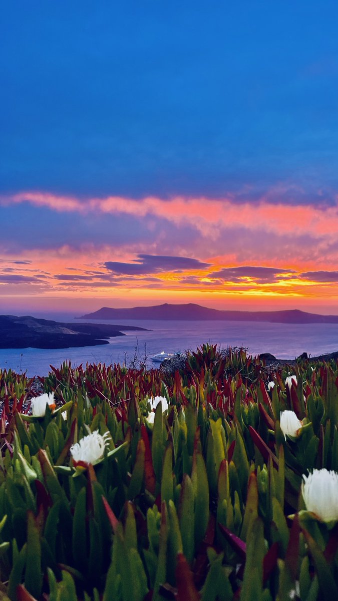 itsalexcook's tweet photo. Santorini Sunset 😍 https://t.co/dyaYOXqieN