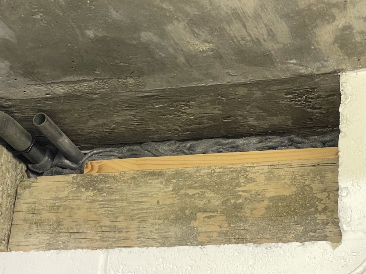 Blocking holes for IPM today &amp; photographing for the records - I’m thinking this qualifies for ⁦<a href="/DullMuseumSnaps/">Dull Museum Snaps</a>⁩