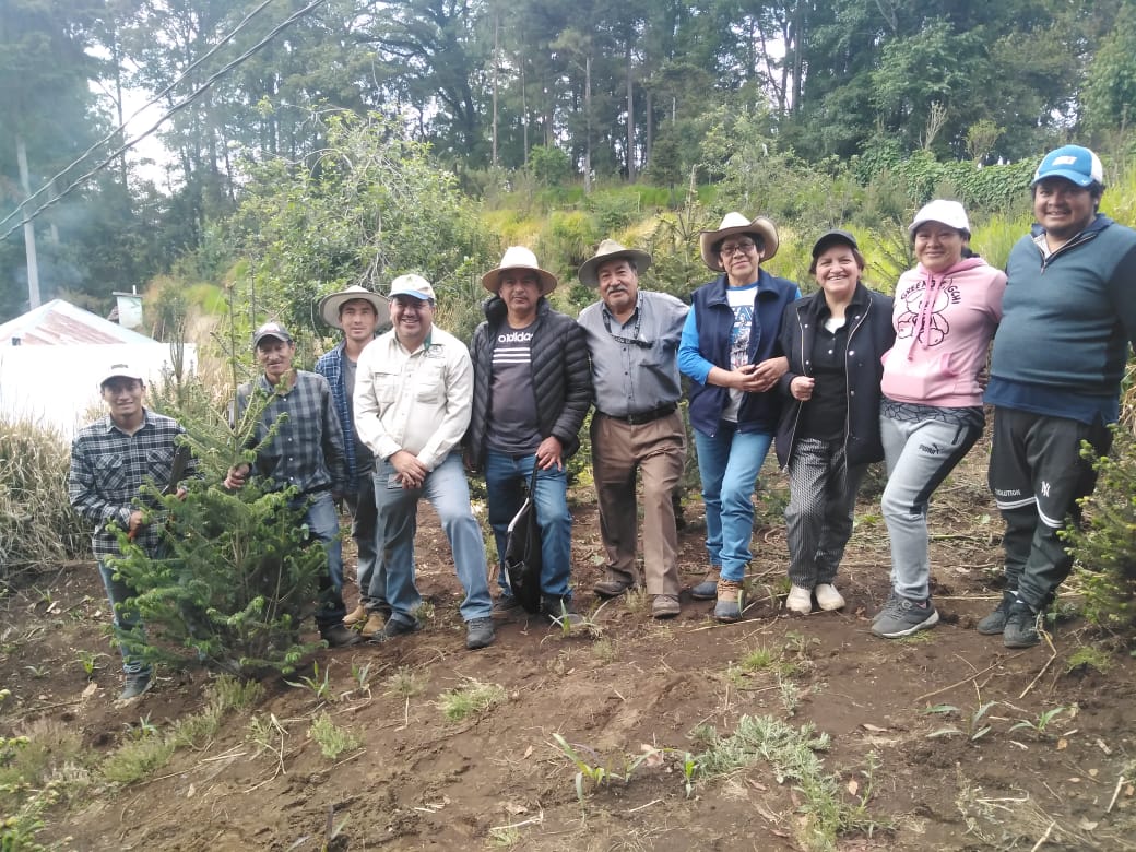 inabguatemala's tweet photo. Capacitamos beneficiarios del programa de incentivos forestales #PINPEP, quienes fueron fortalecidos para el manejo de plantaciones de pinabete con prácticas de actividades silviculturales, donde se realizó en Aldea los Cerezos del municipio de #Tejutla #SanMarcos.
#RegiónVI https://t.co/jkkibCH4Sg