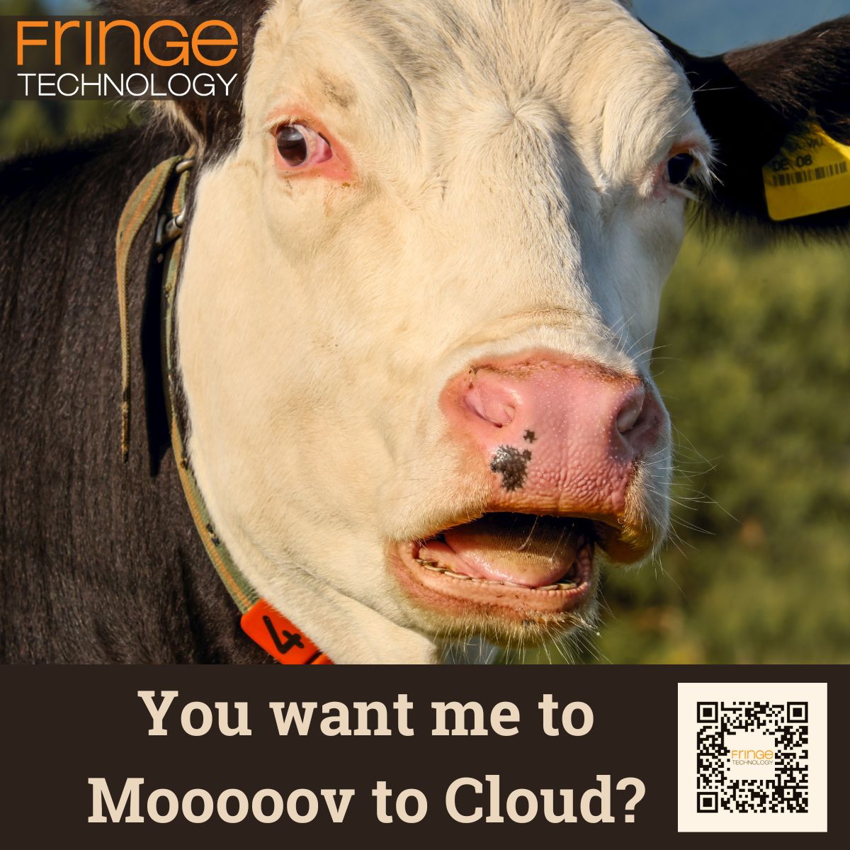 Fringe Technology tweet media
