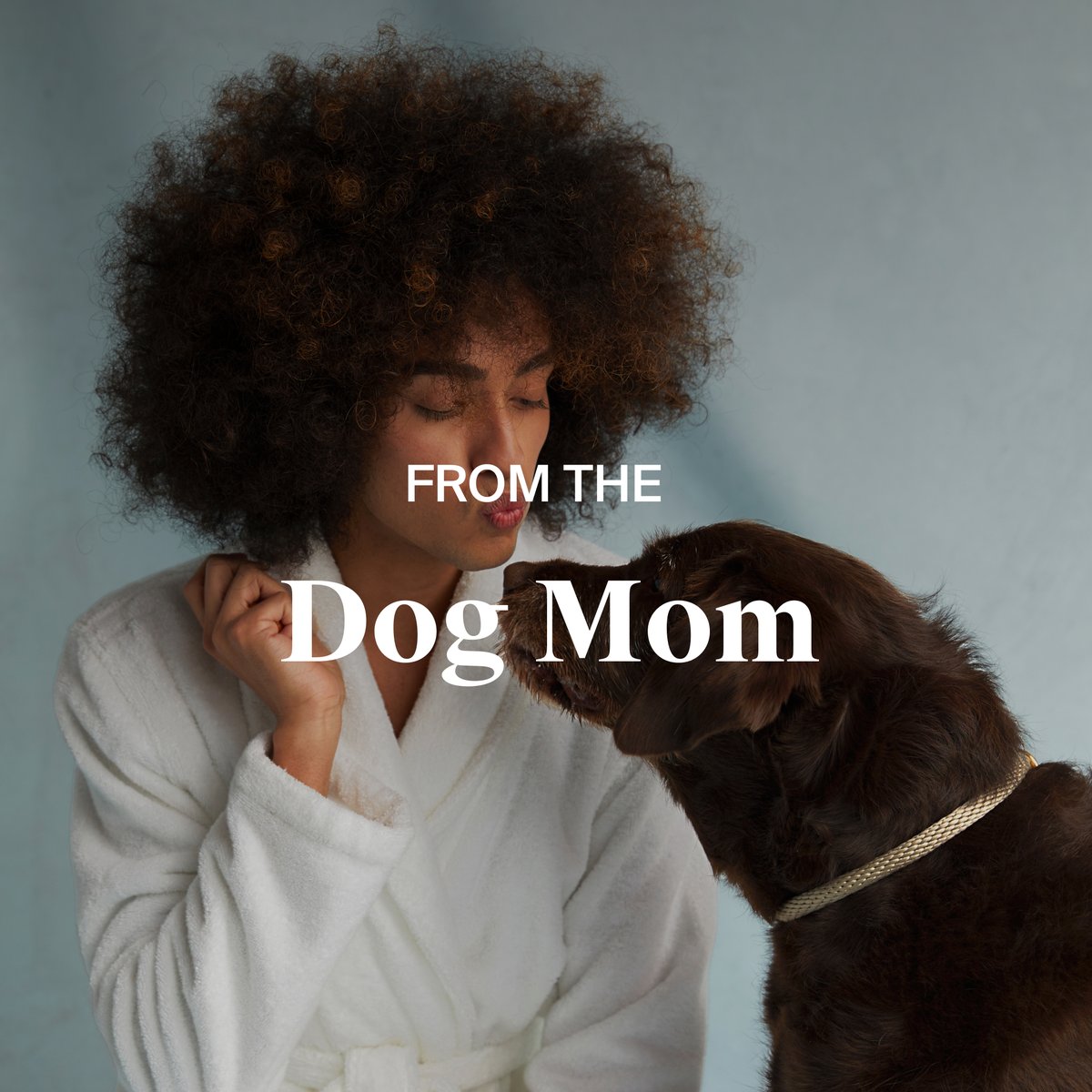 PARACHUTE tweet media