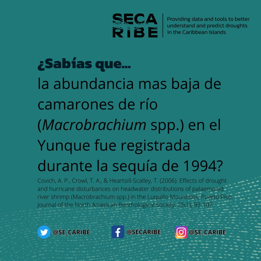 SECARIBE tweet media