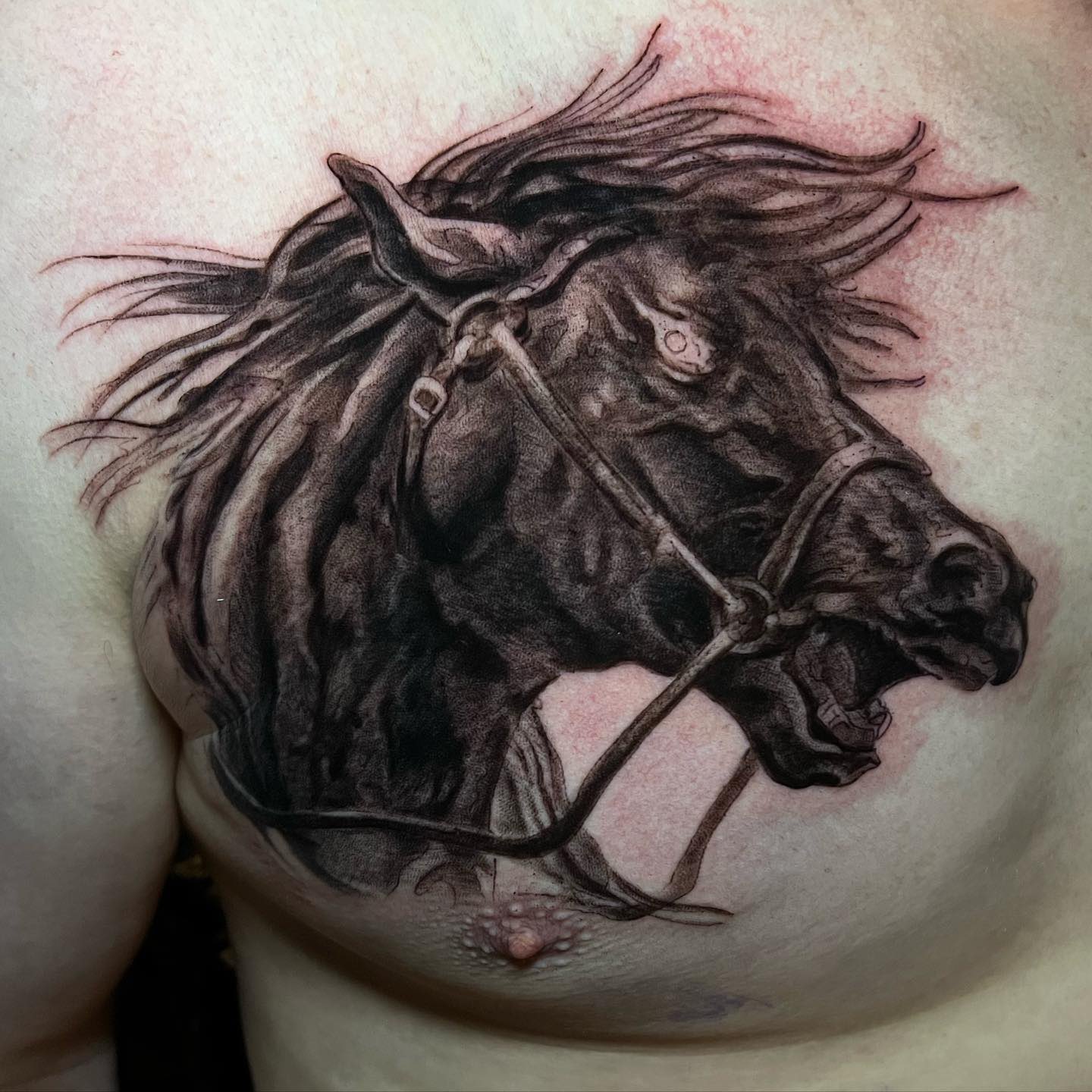 Horse Tattoo for Men | Traditional Style Tattoo