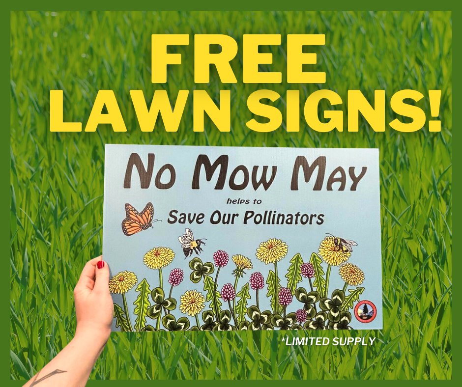 City of Bangor, Maine on Twitter "Happy NoMowMay ! Code Enforcement