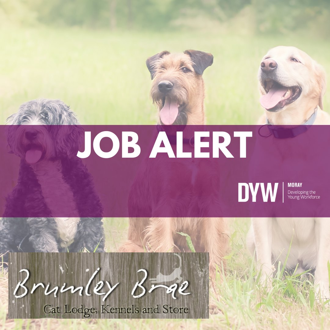 🐶JOB OPPORTUNITY🐶

Brumley Brae Kennel and Cattery are looking for a part time KENNEL ASSISTANT to join their team.

This position will include weekend work and over bank holidays.

For further info, inc how to apply👉dywmoray.co.uk/jobs

<a href="/Moraypathways/">Moray Pathways</a>