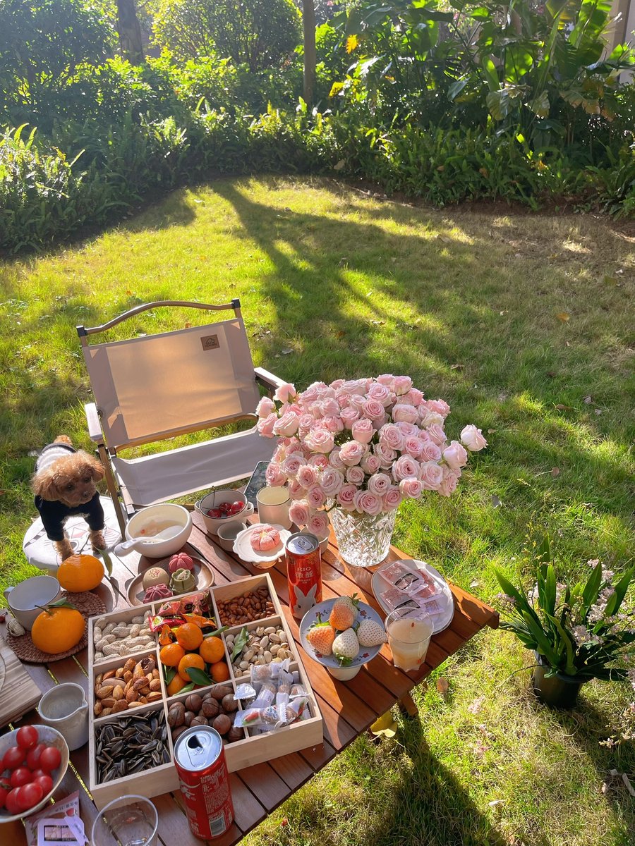 UUQQTwi's tweet photo. Afternoon tea while camping, and friends can have a good get-together. https://t.co/hMrKCLyOGI