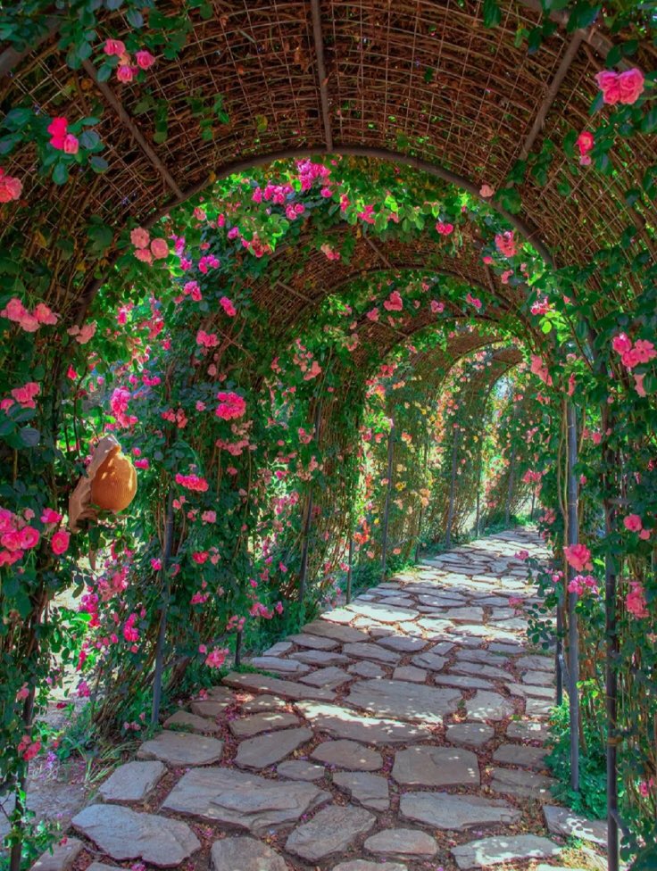 piinkibun's tweet photo. just a walk here would make me so happy https://t.co/tUMJj7uEc9