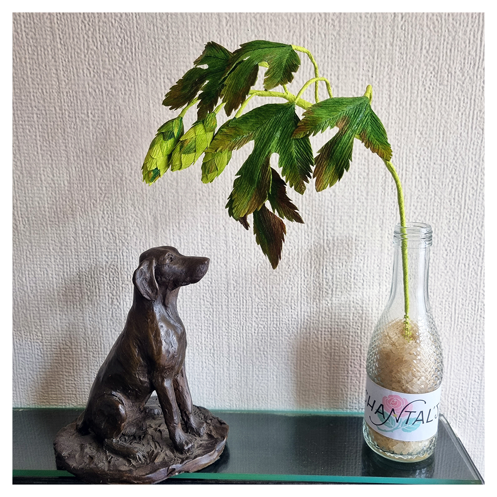 The answer is.... Hops!  So if you are local and thinking of visiting Living Crafts, Hatfield House do "hop" in to the @hertsvisualarts Herts Visual Arts Marquee on Friday 5th where you will find me and 5 other artists "hopping" about with excitement! (6… instagr.am/p/Cryk7wEIjS4/