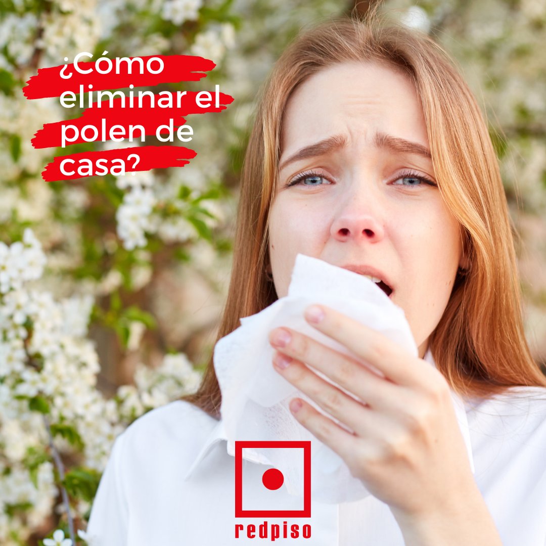 Estos son los mejores consejos para eliminar el polen de tu casa
⬇️⬇️
redpiso.es/news/quitar-el…