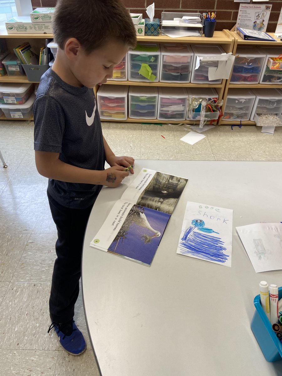 Shelly Butcher tweet media